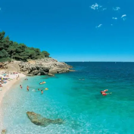 Ivona Centar アパート *